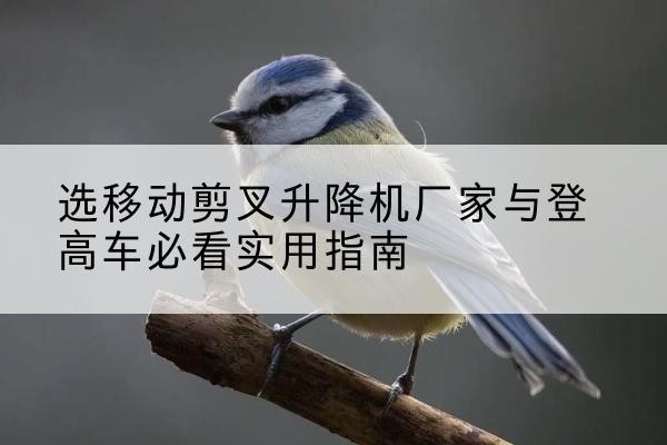 蔚县电动升降机厂家-选移动剪叉升降机厂家与登高车必看实用指南