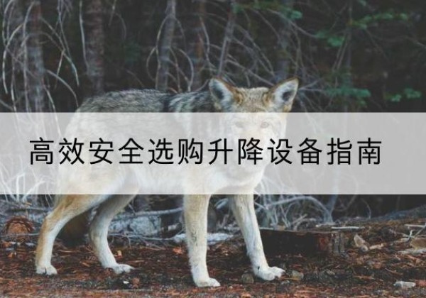 蔚县升降货梯厂家推荐-*安全选购升降设备指南