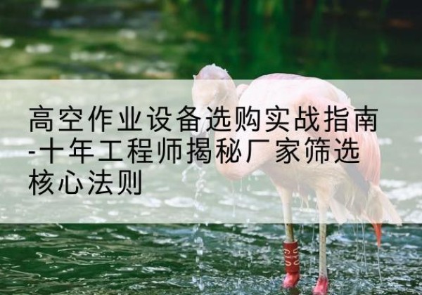 蔚县剪叉式升降机厂家-高空作业设备选购实战指南-十年工程师揭秘厂家筛选核心法则